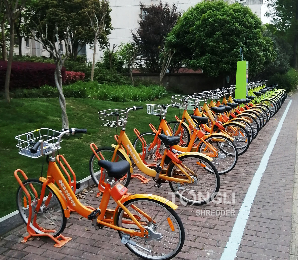 shared bicycles